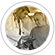 Therapeutic Options - Independent  Medical Evaluation