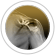 Conditions Treated - Rotator Cuff Injuries